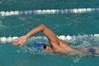 Swimming vs Babson  Wheaton College Swimming vs Babson College. - Photo By: KEITH NORDSTROM : Wheaton, Swimming, Babson